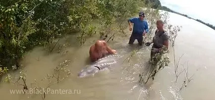 Силна конспирация хляб късмет риболов