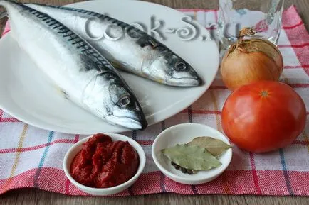 Macrou înăbușită în sos de tomate - un pas cu pas reteta cu fotografii, pește și fructe de mare