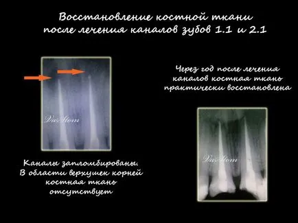 Centrul stomatologic „dentaldzhaz“ - vip elita Stomatologie din Moscova