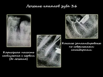 Centrul stomatologic „dentaldzhaz“ - vip elita Stomatologie din Moscova