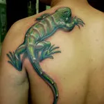 Iguana Tattoo érték, és a fénykép miniatűr