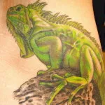 Iguana Tattoo érték, és a fénykép miniatűr