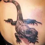 Iguana Tattoo érték, és a fénykép miniatűr