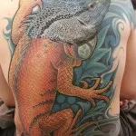 Iguana Tattoo érték, és a fénykép miniatűr