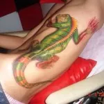 Iguana Tattoo érték, és a fénykép miniatűr