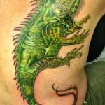 Iguana Tattoo érték, és a fénykép miniatűr