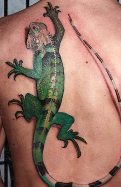 Tatuaj Iguana - valoare desene sau modele tatuaj și fotografii