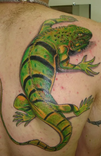 Tatuaj Iguana - valoare desene sau modele tatuaj și fotografii