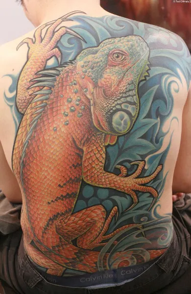 Tattoo iguana - érték tetoválás minták és képek