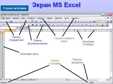 Táblázatkezelő MS Excel