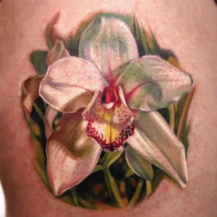 Orchid Tattoo, fotografii și schițe, valori