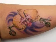 Orchid tetoválás (érték, vázlatok, fényképek), tattoofotos