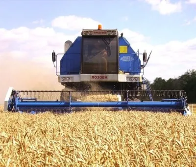зимна пшеница технология култивиране