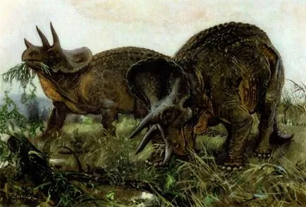 Triceratops (Triceratops)