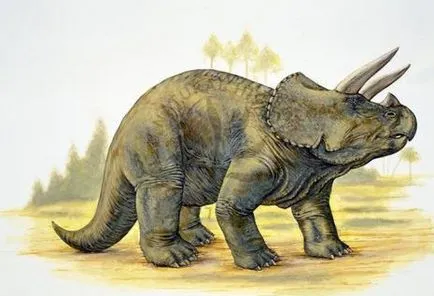 Triceratops, Triceratops totul, despre Triceratops, Triceratops dinozauri, Triceratops Șopârlă, toate