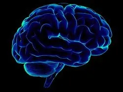 Учените са ни казали, какво се случва с човешкия мозък в напреднала възраст - wellnews - добра новина
