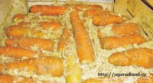 Научете как да съхранявате моркови