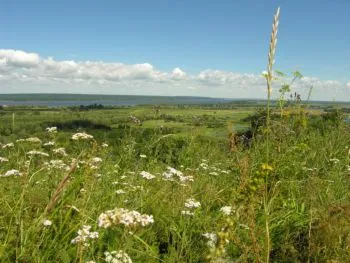 Turisztikai és rekreációs park - mo Kama elszámolási