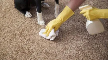 Cum pentru a curăța covorul la domiciliu modalități eficiente recomandări utile