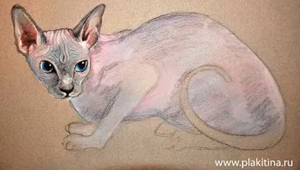 Lecția pastel desen - o Sphynx pisica rasa, Lecții de desen pastel, pastel lecție