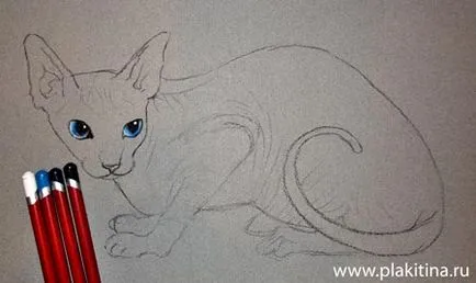 Lecția pastel desen - o Sphynx pisica rasa, Lecții de desen pastel, pastel lecție