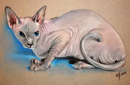 Lecția pastel desen - o Sphynx pisica rasa, Lecții de desen pastel, pastel lecție