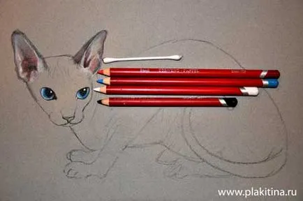 Lecke rajz pasztell - egy macska fajta Szfinx, lecke rajz pasztell, pasztell lecke