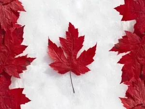 Visa в Канада през 2017 г.