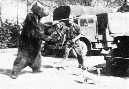 Wojtek - Ursul și soldații