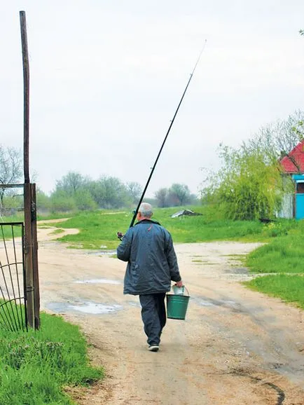 întrebări poplavochniku