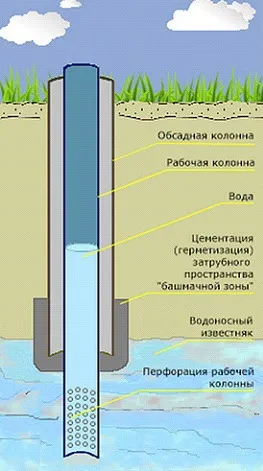 Цялата истина за корпуса