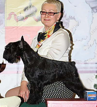 Vserumynskaya Dog Show 