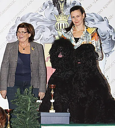 Vserumynskaya Dog Show 