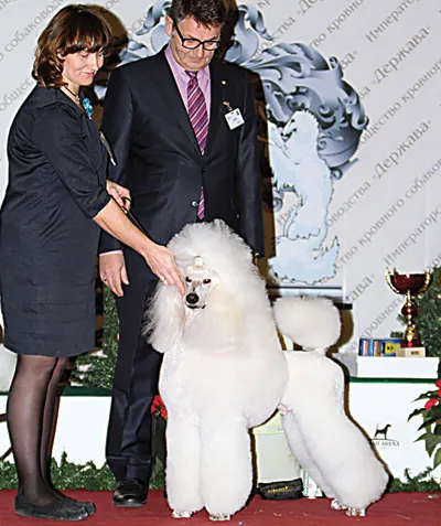 Vserumynskaya Dog Show 