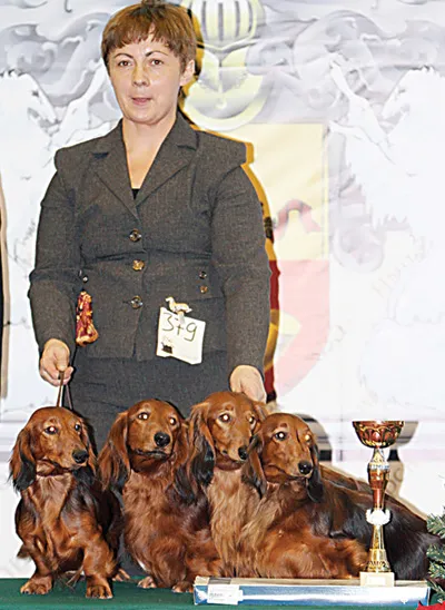 Vserumynskaya Dog Show 