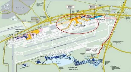 Interdependența companii aeriene și aeroporturi, observatori de transport aerian