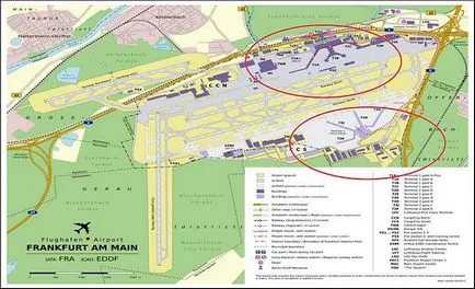 Interdependența companii aeriene și aeroporturi, observatori de transport aerian