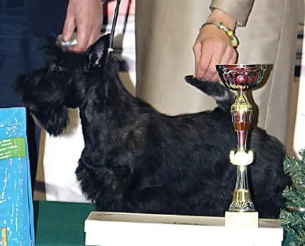 Vserumynskaya Dog Show 