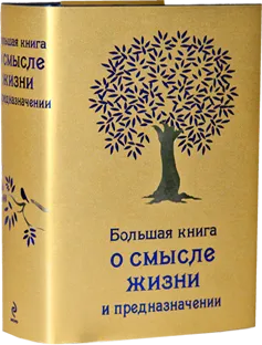 Яйчниците метафизични причини за проблемите и яйчниците заболявания - insayt! Андрю zhalevicha