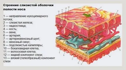 Един добър лек за обикновената настинка за деца 2-3 години