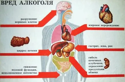 A koleszterin és az alkohol