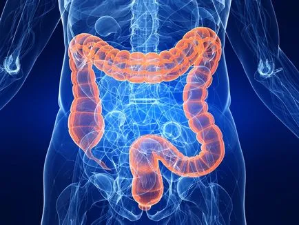 A fekélyes vastagbélgyulladás kezelése a bélférgek colitis, a fekélyes vastagbélgyulladás kezelésében a férgek