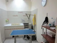 Servicii Pet (salon de îngrijire) - spălarea, manipularea psihologică câini și pisici