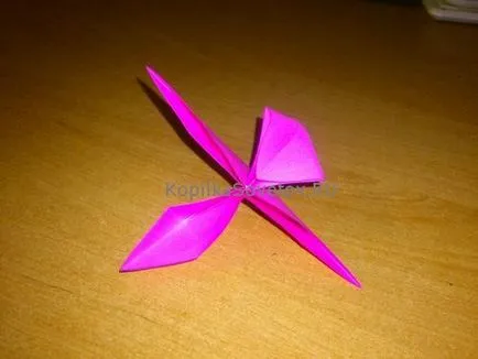 Csillagok a kötet a papír origami workshop kezdőknek