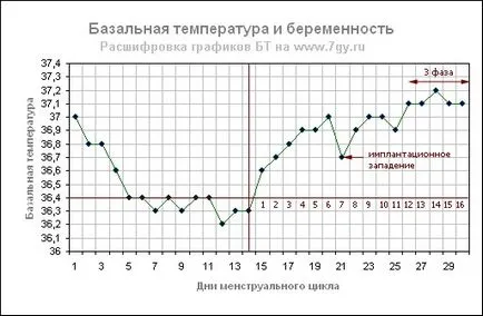 Как да определите бременност у дома