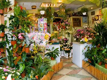 Как да отворите магазин за цветя от земята до подробен бизнес план