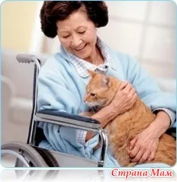 Animaloterapiya котки - домашни лечители - дома майките