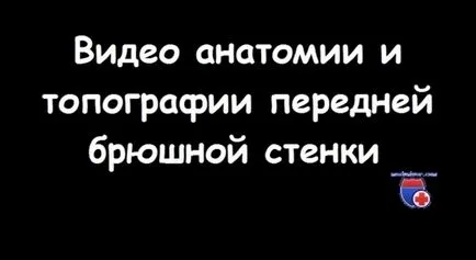 Анатомия вагина ректус