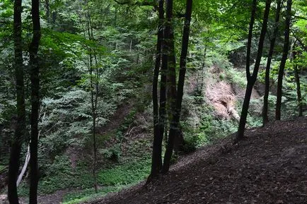 Babi, Fascinanta lume de călătorie, turism, psihologie, știință, tehnologie, interesant în lume, umor,