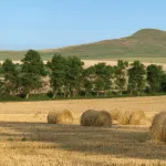 Investițiile private în agricultură - celhozportal